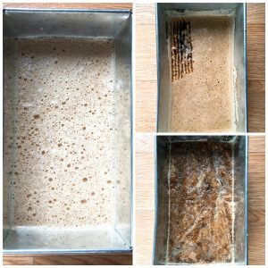 How To Make Coffee Granita Step By Step