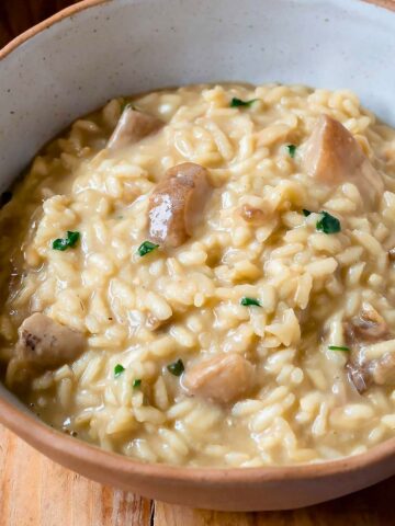 Creamy porcini mushroom risotto in a bowl.