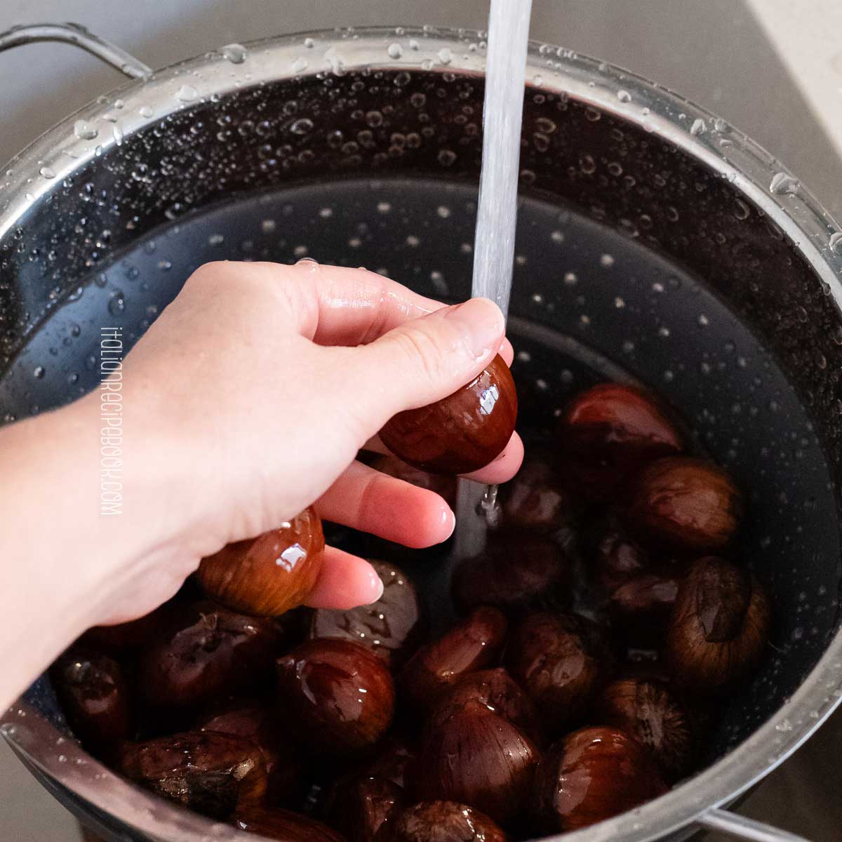 How to Roast Chestnuts Like an Italian Street Vendor - rebbetzin unplugged