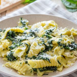 Garganelli Pasta WithCreamy Spinach Sauce {Recipe}