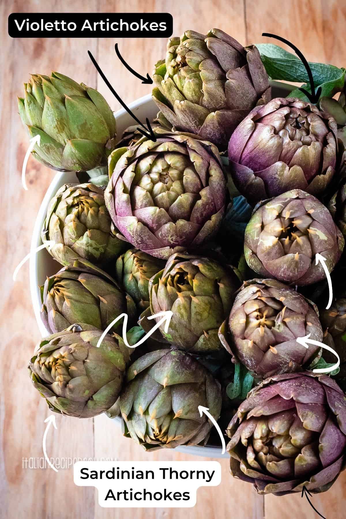 Fresh artichokes in a bucket with water.