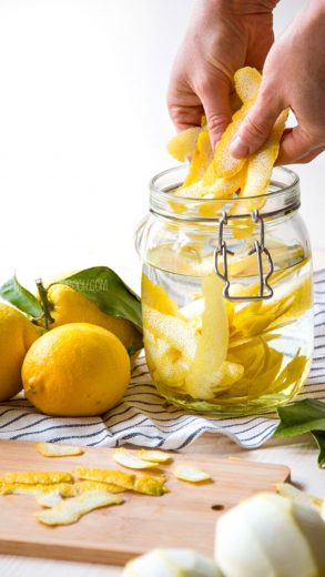 Limoncello Cream {Silky & Flavorful!} : Italian Recipe Book