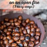 How To Roast Chestnuts On An Open Fire