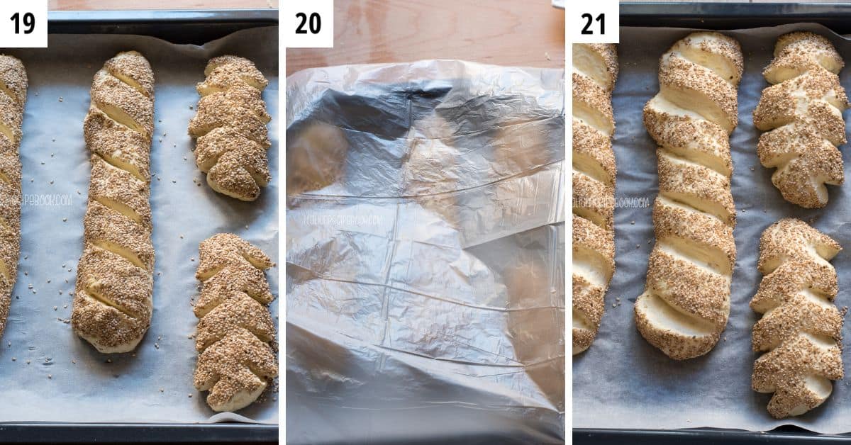 Semolina bread loaves leavening on a baking sheet.