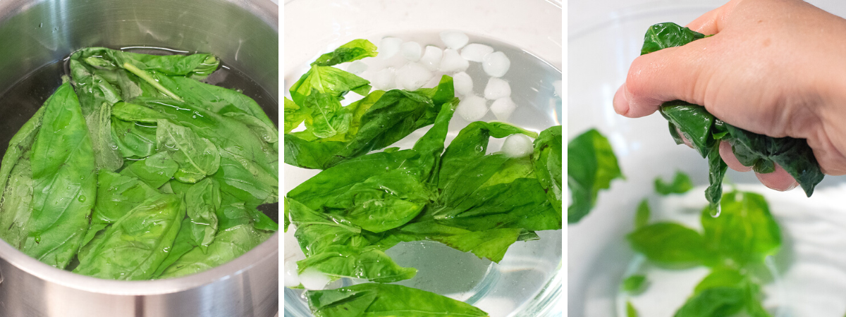 how to blanche basil