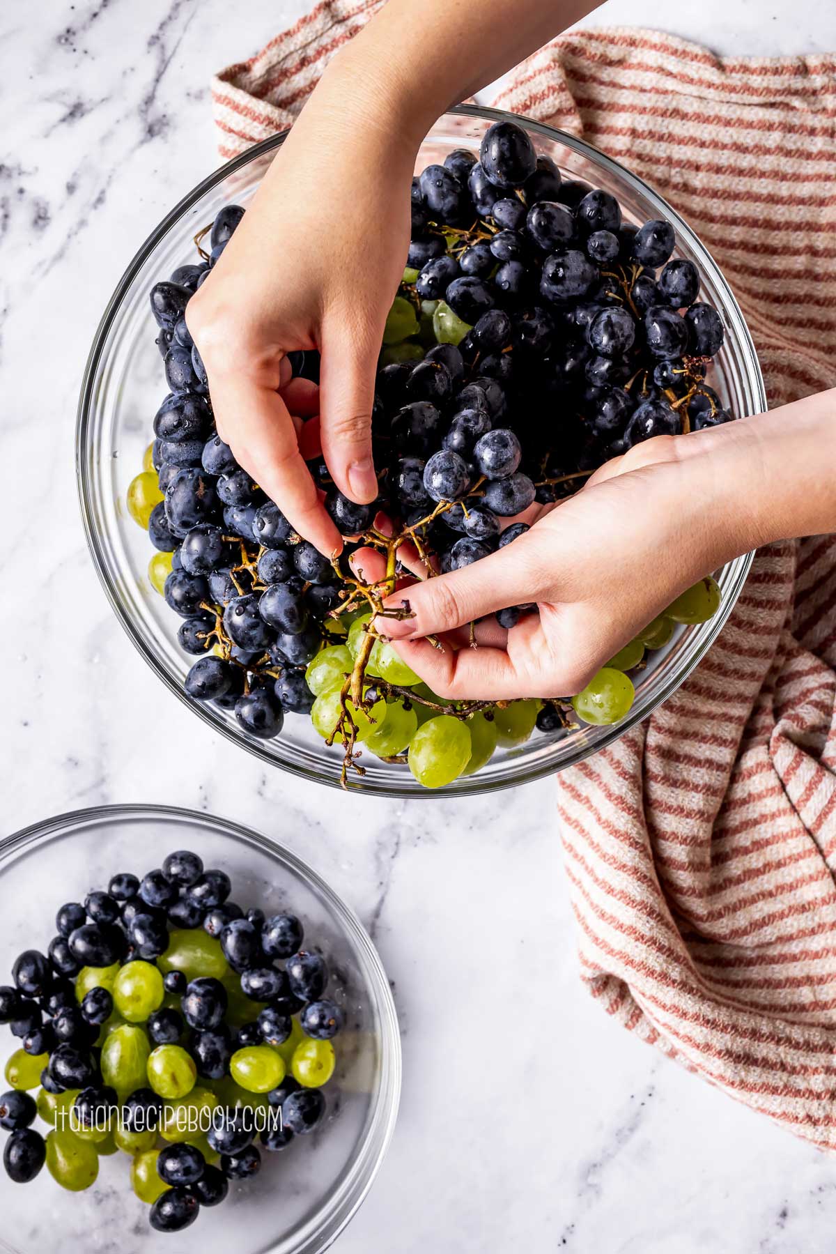 picking grapes from the stems