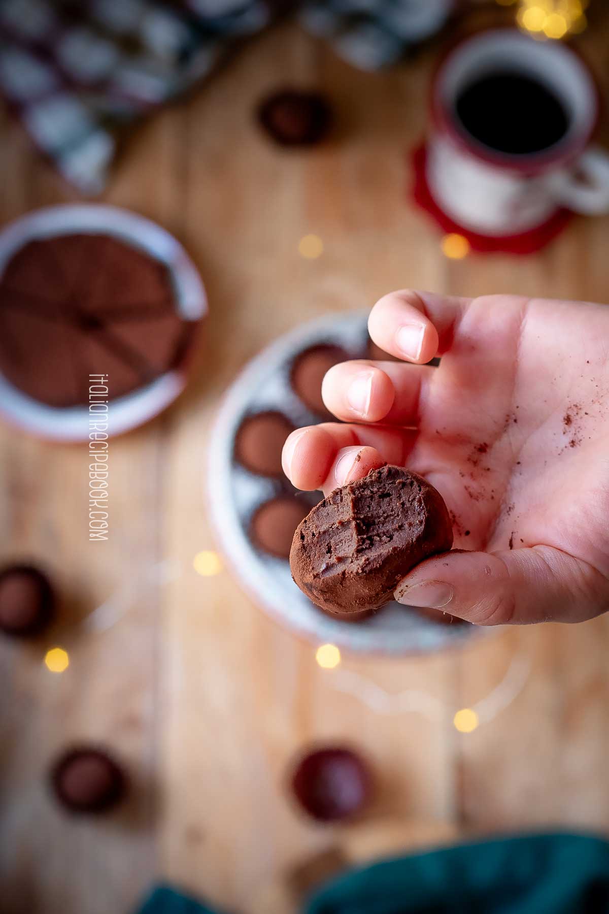 holding chestnut chocolate truffle in hand