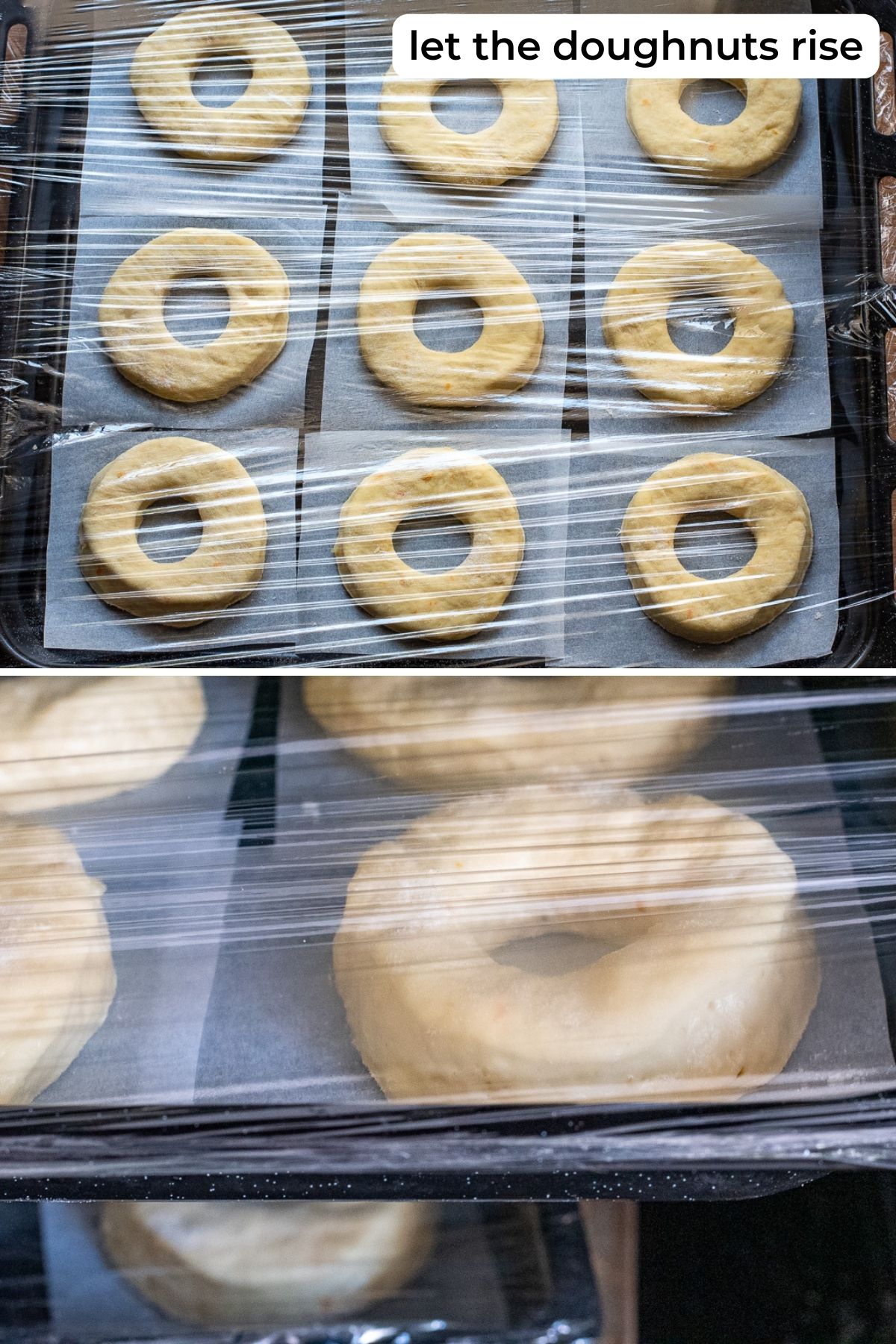 Potato doughnuts arranged on a tray and covered with a plastic wrap without touching the donuts.