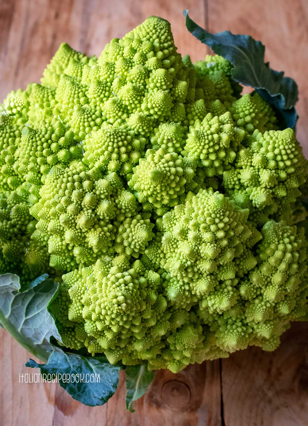 A head of Romanesco Broccoli.