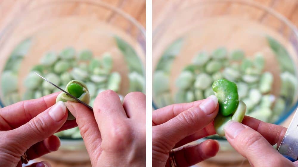 Removing skin from a fava bean.