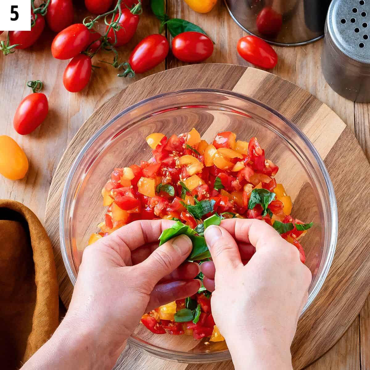 Tearing basil leaves with hands.