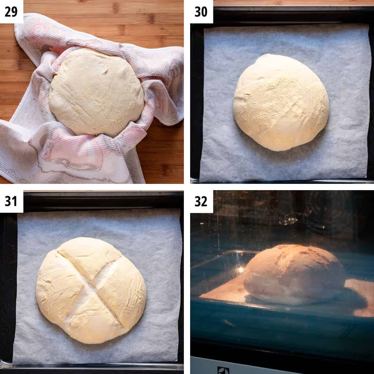 Pugliese bread in a bread basket after proofing, scoring and baking in the oven.