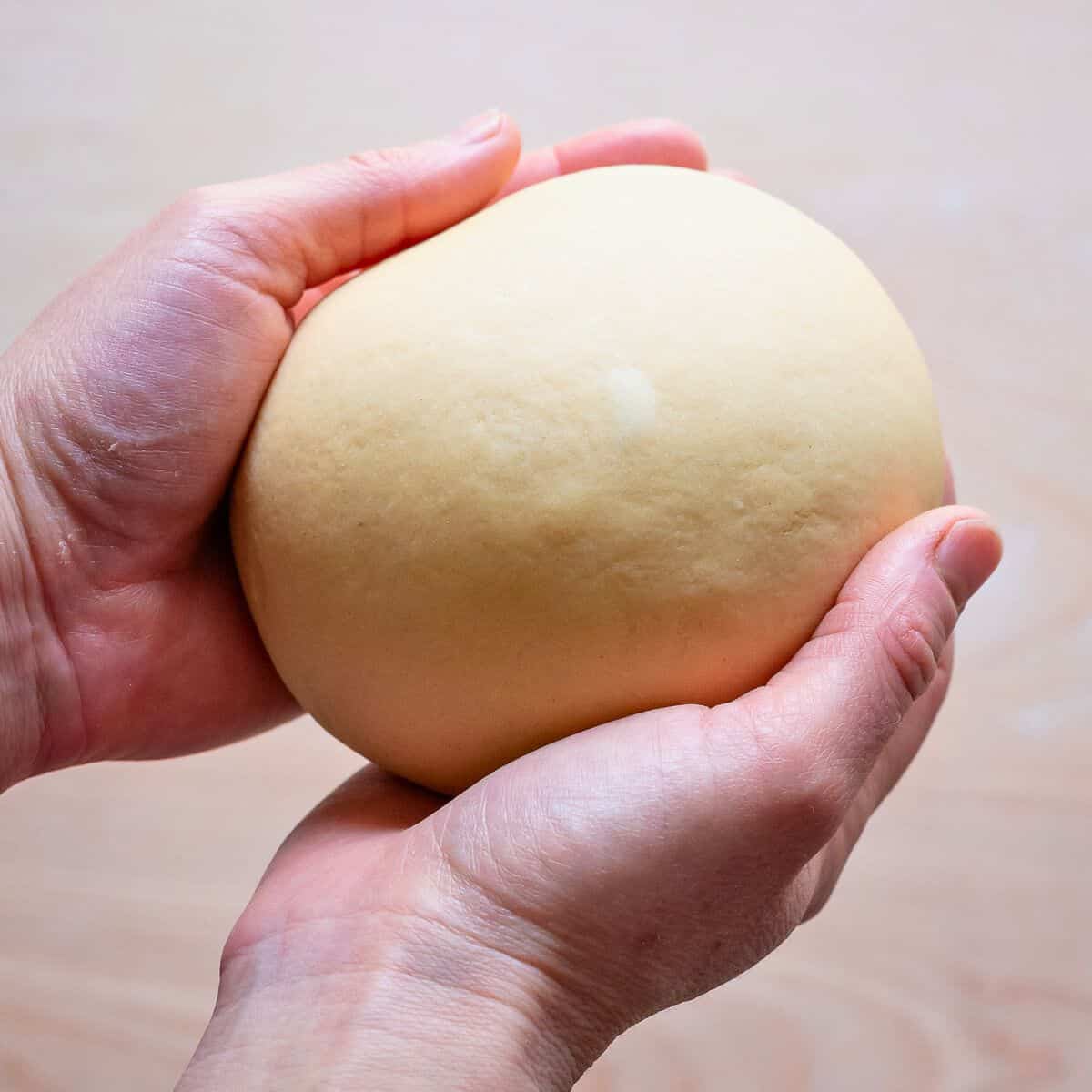 Smooth finished egg pasta dough.